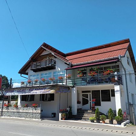 Pensiunea Rominvest Borsa  Bagian luar foto