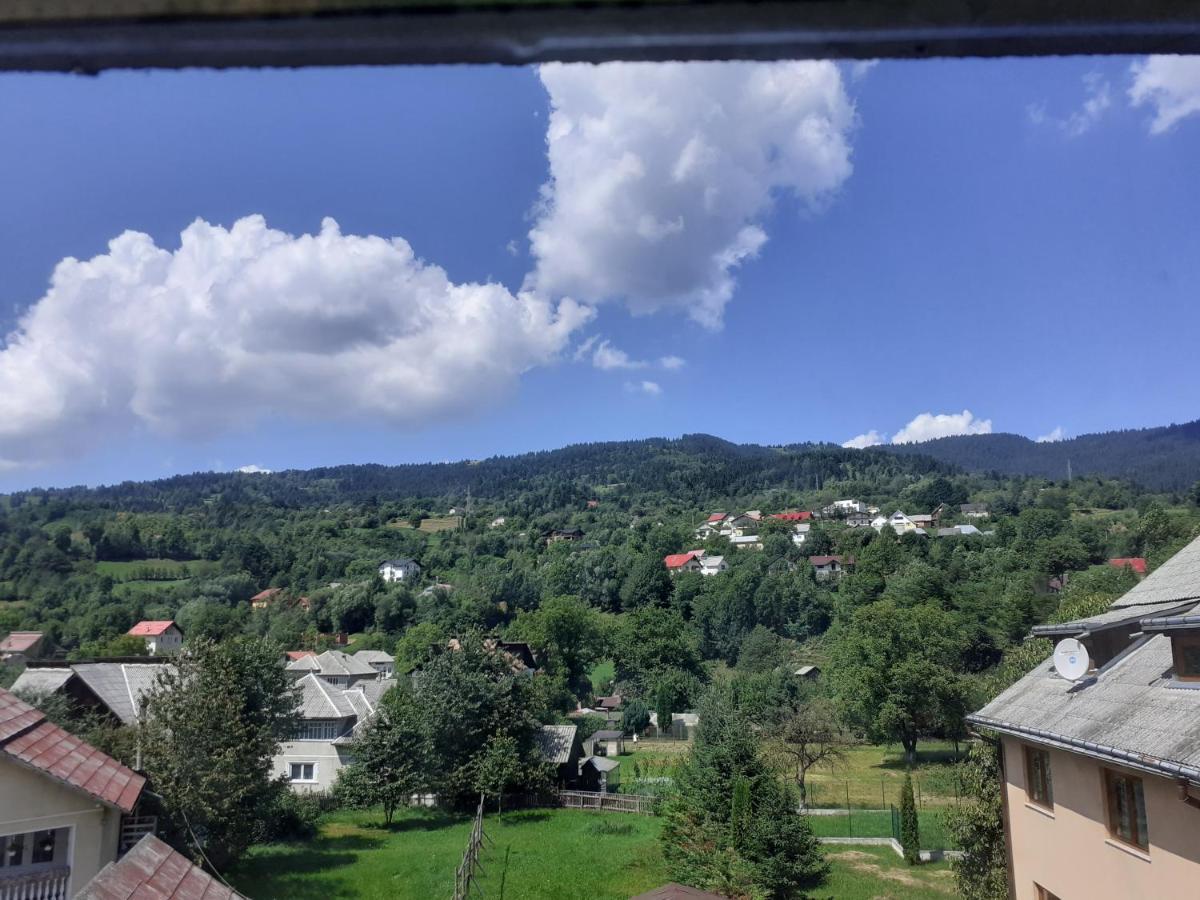 Pensiunea Rominvest Borsa  Bagian luar foto